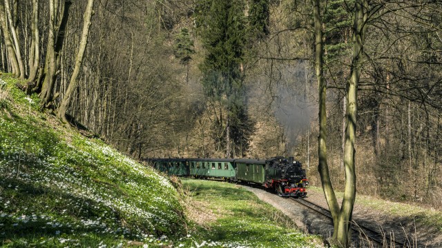 Wei&szlig;eritztalbahn im Rabenauer Grund 
&copy; Michael Sperl
