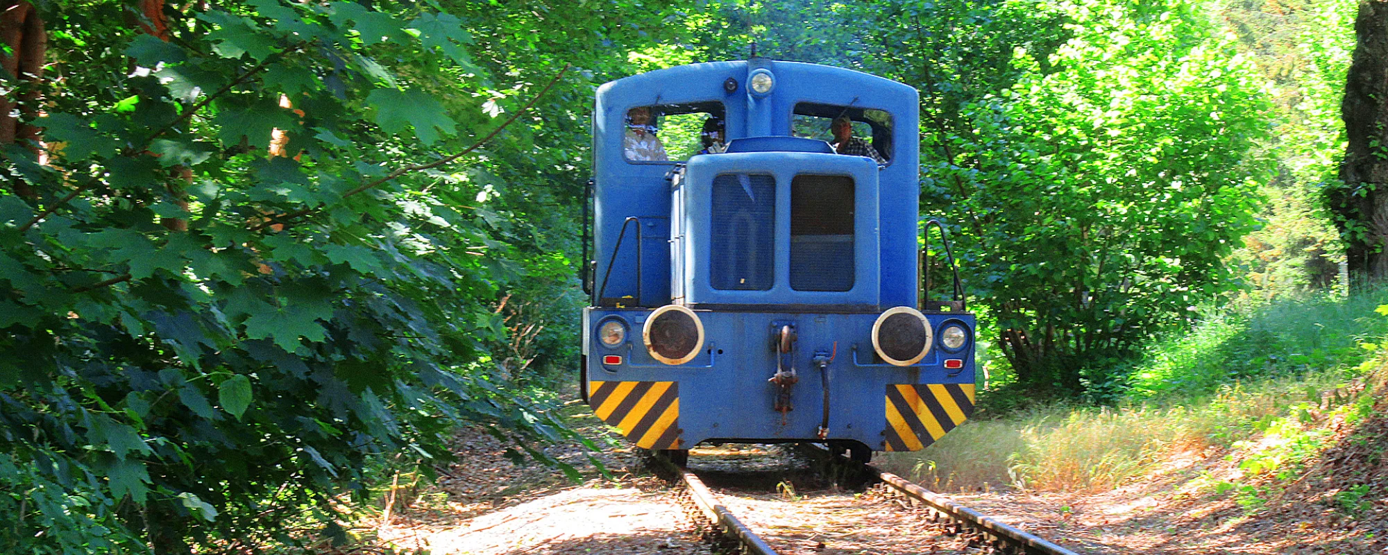 Br&uuml;ckenberg-Kohlenbahn Zwickau